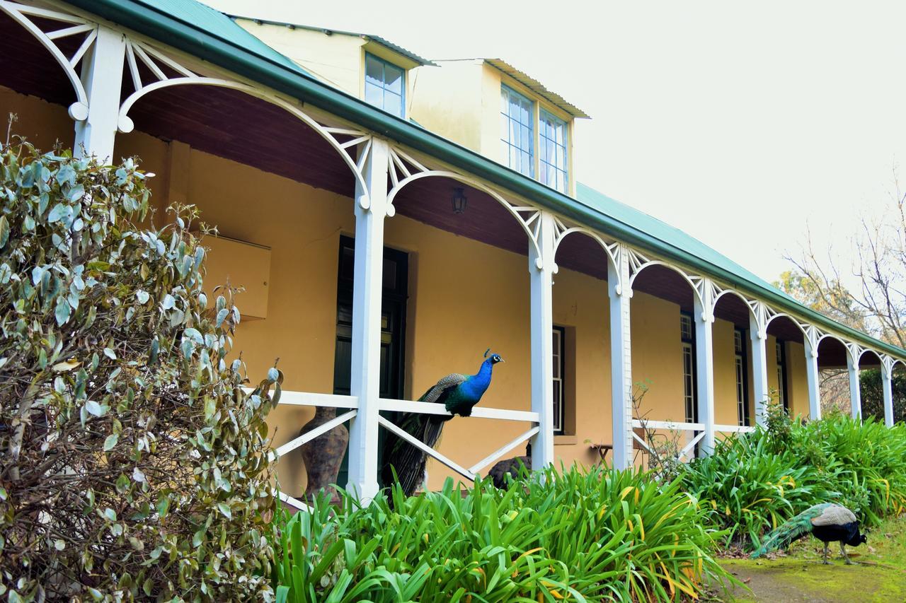 Cleburne Homestead Risdon Екстер'єр фото